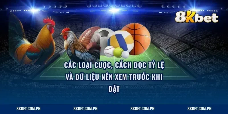 Các loại cược, cách đọc tỷ lệ và dữ liệu nên xem trước khi đặt