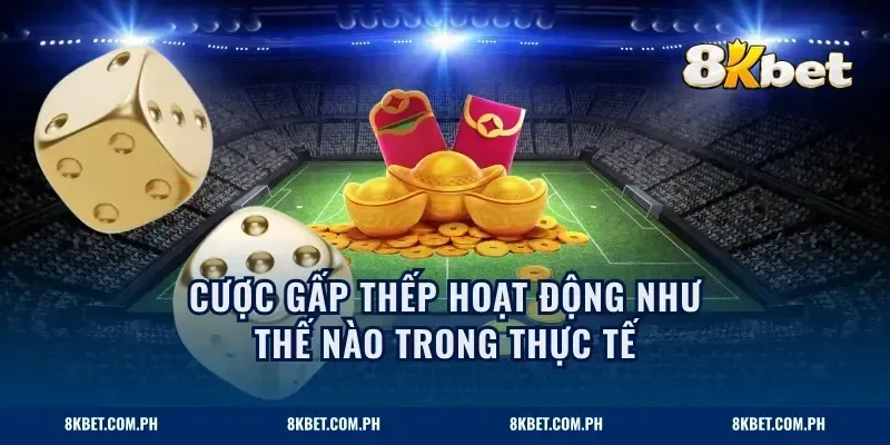 Cược gấp thếp hoạt động như thế nào trong thực tế