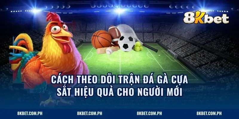 Cách theo dõi trận đá gà cựa sắt hiệu quả cho người mới