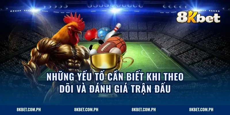 Những yếu tố cần biết khi theo dõi và đánh giá trận đấu
