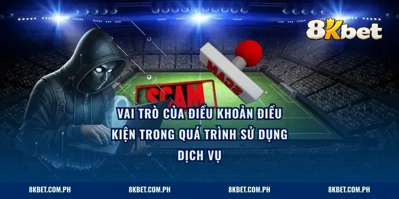 Vai trò của điều khoản điều kiện trong quá trình sử dụng dịch vụ