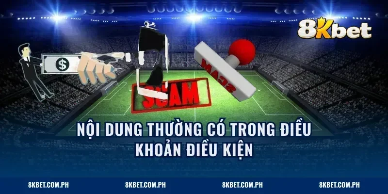 Nội dung thường có trong điều khoản điều kiện
