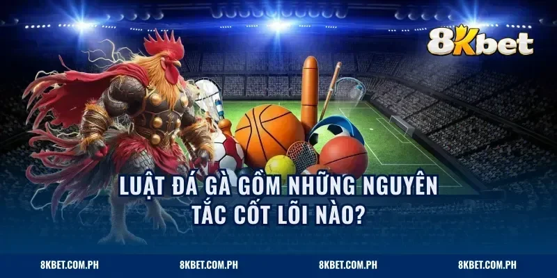 Luật đá gà gồm những nguyên tắc cốt lõi nào?