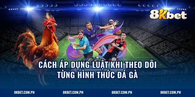 Cách áp dụng luật khi theo dõi từng hình thức đá gà